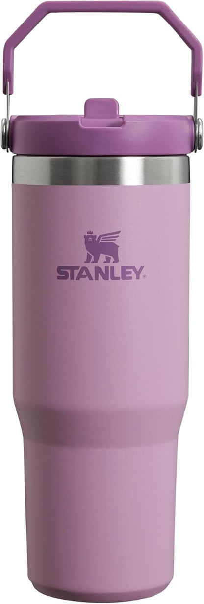 Stanley IceFlow Flip Straw Tumbler with Handle 30 oz